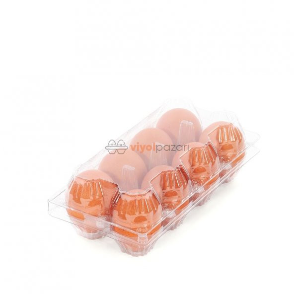 8 Li Şeffaf Yumurta Viyolü 600 Adet