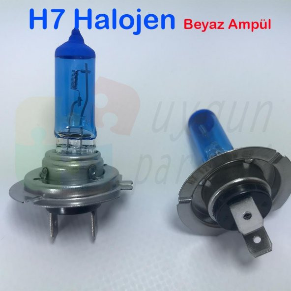 H7 Beyaz Halojen Far Ampülü A Kalite - Hediyeli !!!