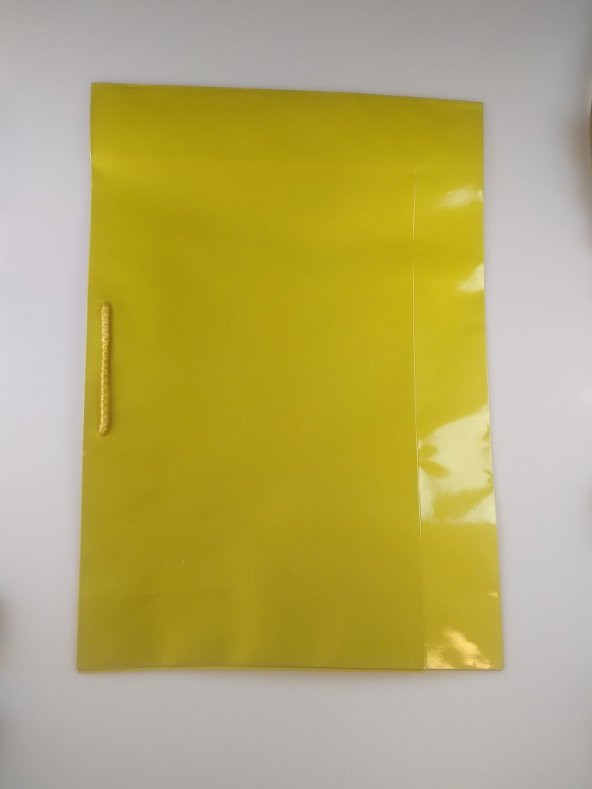 KARTON ÇANTA GOLD 39CM X 55CM - 1 ADET - 2