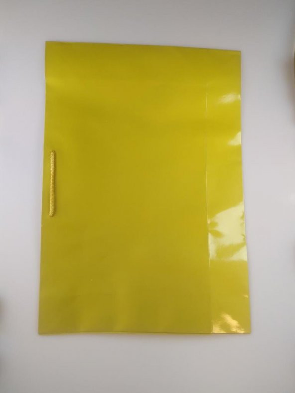 KARTON ÇANTA GOLD 39CM X 55CM - 1 ADET - 4