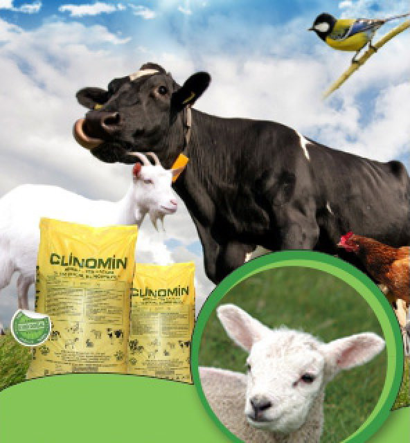 Zeolit Hayvan Yem Katkısı 25 kg