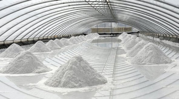 MAYİ TUZ (YENİ HASAT) ÖĞÜTÜLMÜŞ  SOFRA TUZU 10 KG - 4