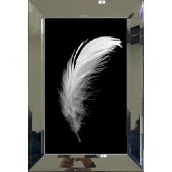 Aynalı Ortası Siyah Beyaz Renk Kuş Tüyü Tablo 60x90 cm
