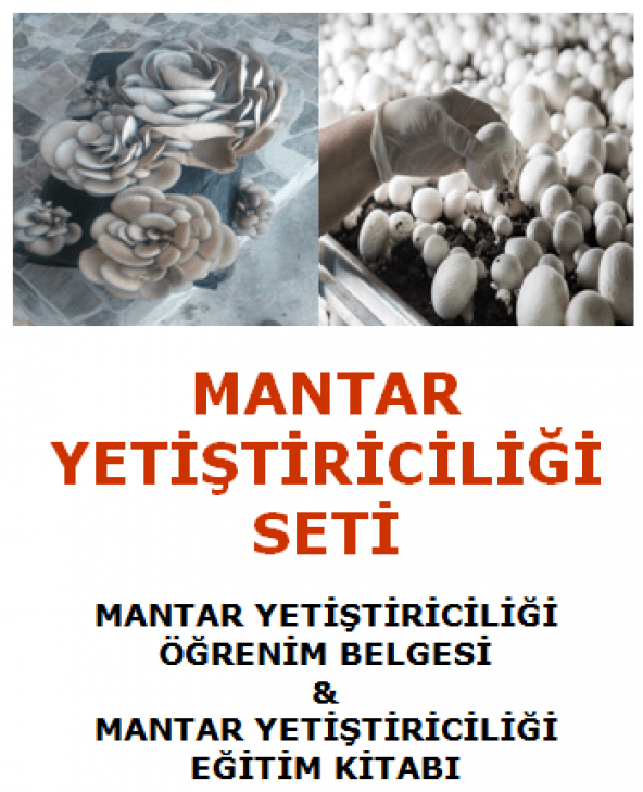 İSTİRİDYE MANTARI VE KÜLTÜR MANTARI YETİŞTİRİCİLİĞİ ÖĞRENİM BELGESİ VE EĞİTİM KİTABI (Türkiye'de Bir İlk - Bu Fırsatı Kaçırmayınız)
