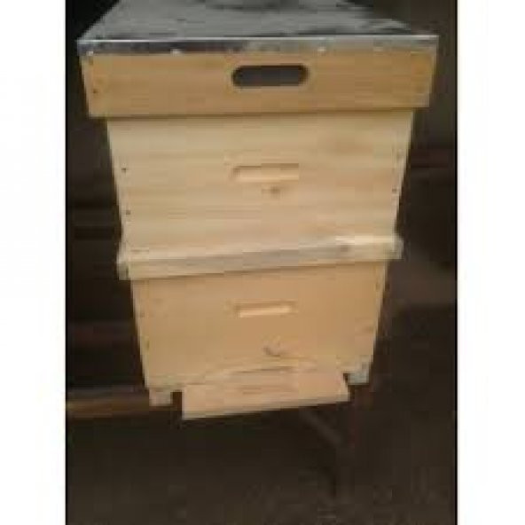 Polen Tuzaksız Arı Kovanı