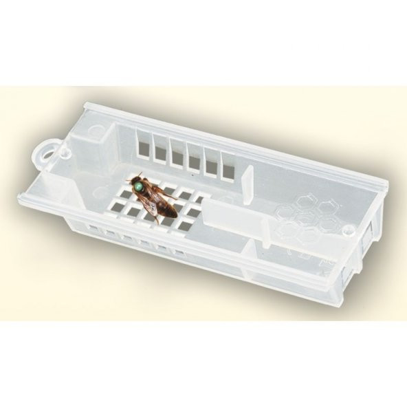 Ana Arı Taşıma Kafesi 10 Adet - 2