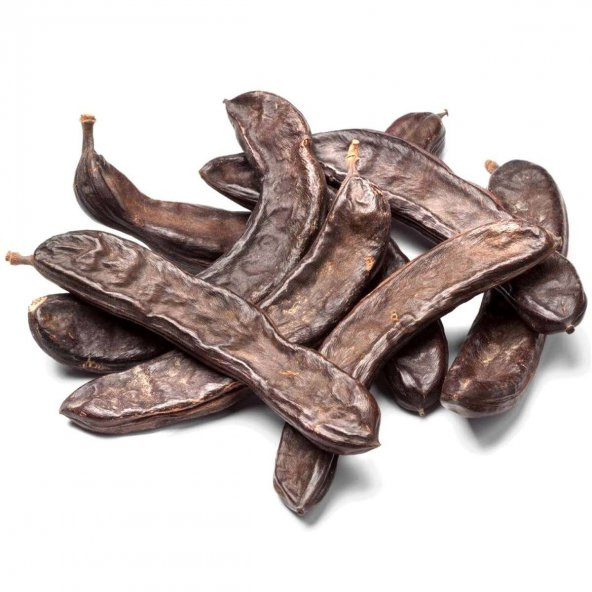 Tüplü Keçi Boynuzu(Harnup) Fidanı- Aşısız - 6