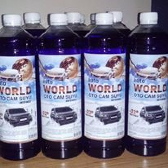 AUTO WORLD OTO CAM SUYU - 2
