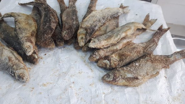 Van Tuzlu Balık (van posta pazarı) 3000 Gr - 2