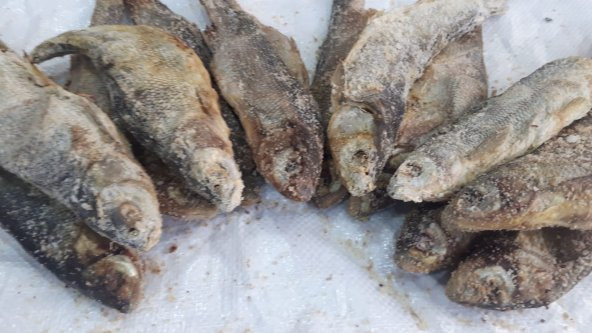 Van Tuzlu Balık (van posta pazarı) 3000 Gr - 3