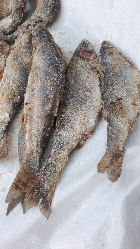 Van Tuzlu Balık (van posta pazarı) 3000 Gr - 4