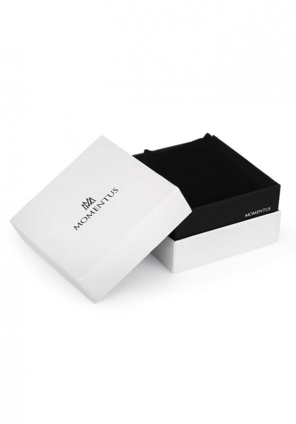 Momentus CC235S-04SS Erkek Kol Saati - Resim 5