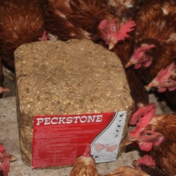 peckstone 10kg