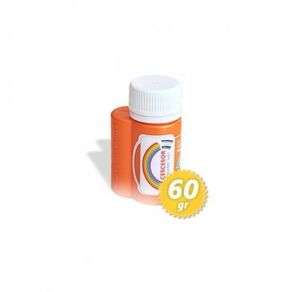 Cescesor Epson UltraChrome Hi-Gloss Uyumlu 60gr Orange Mürekkep