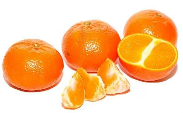 Tüplü Yarı Bodur Erkenci Early N Mandalin Fidanı - 8