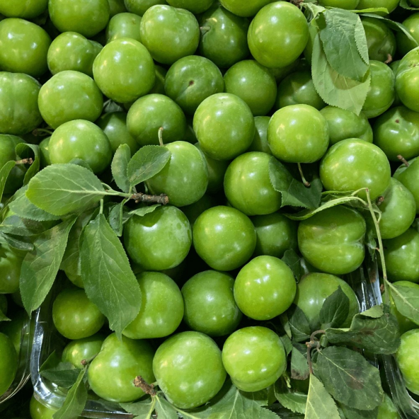 Tüplü Tam Bodur Cin Erik Fidanı - Resim 5