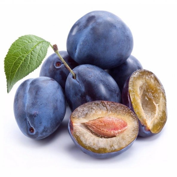 Tüplü Tam Bodur İnnovative Tree Mürdüm Eriği Fidanı - 10