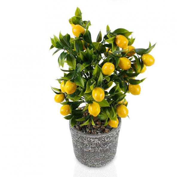 Porselen Saksıda Yapay Limon Ağacı - 3