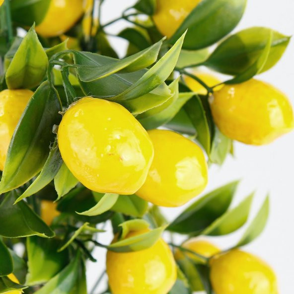 Porselen Saksıda Yapay Limon Ağacı - 4