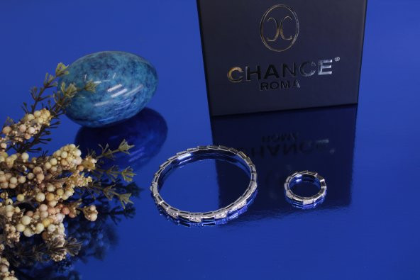 İtalyan Tasarım Moda Pırlanta Çelik Gümüş Altın Tamtur Yılan Set - 3