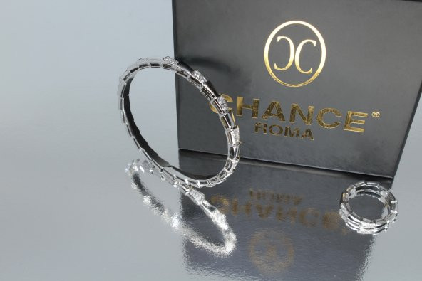 İtalyan Tasarım Moda Pırlanta Çelik Gümüş Altın Tamtur Yılan Set - 4