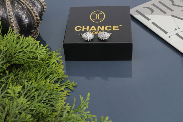 İtalyan Tasarım Moda Pırlanta Çelik Gümüş Altın Ayar Yılan Küpe - 4