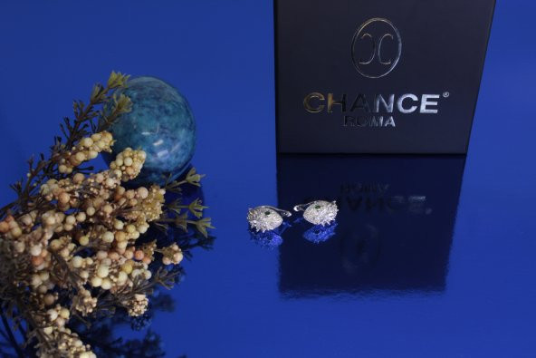 İtalyan Tasarım Moda Pırlanta Çelik Gümüş Altın Ayar Yılan Küpe - 6