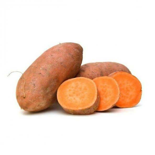 TATLI PATATES TOHUMU