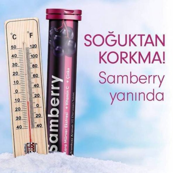 Samberry Kara Mürver Ekstresi + Vitamin C + Çinko eff. tb