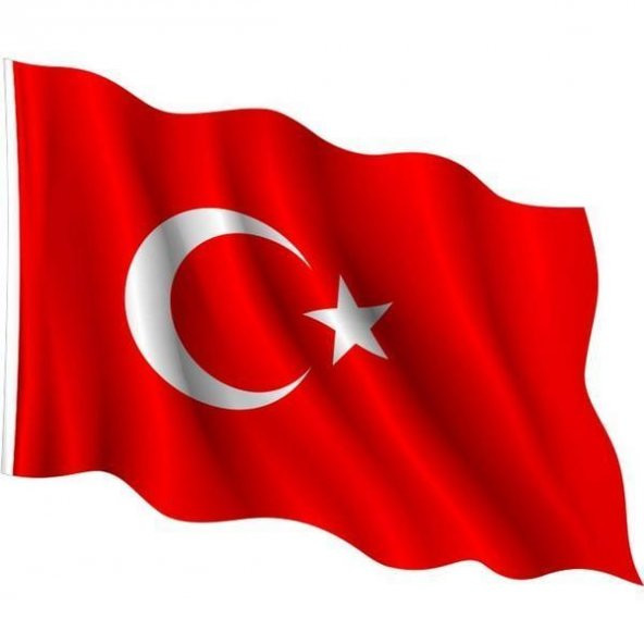 ALSANCAK BAYRAK POLYESTER 30x45cm