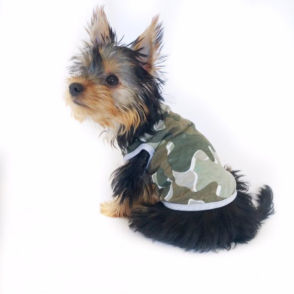 Grey Banner Camouflage Atlet Köpek Kıyafeti  Köpek Elbisesi