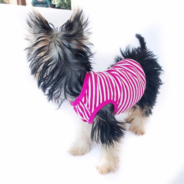 Pink Stripes Atlet Köpek Kıyafeti  Köpek Elbisesi
