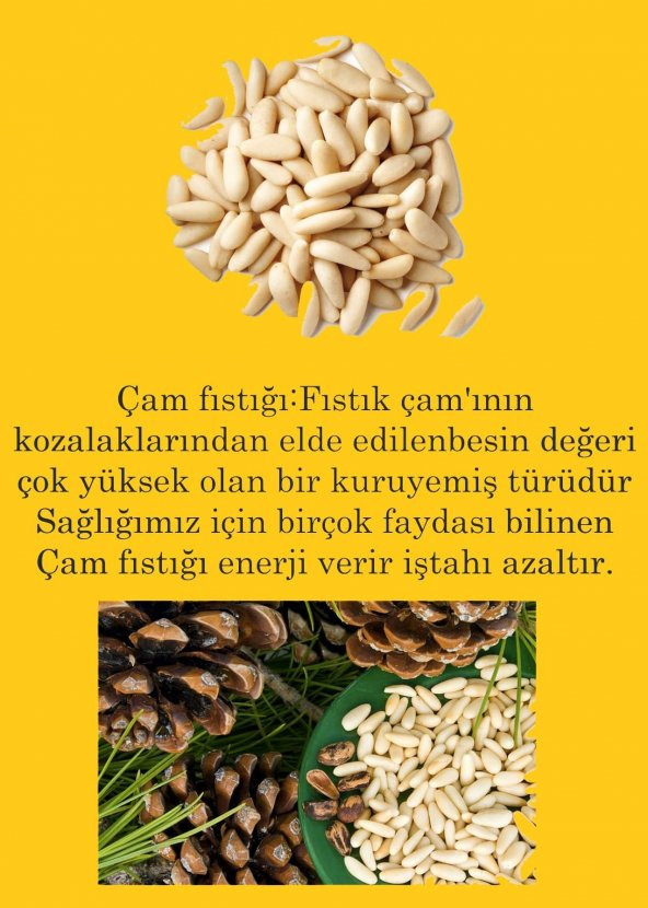 Çam fıstığı 500 gr. Süper kalite Parmak Baharat - 2