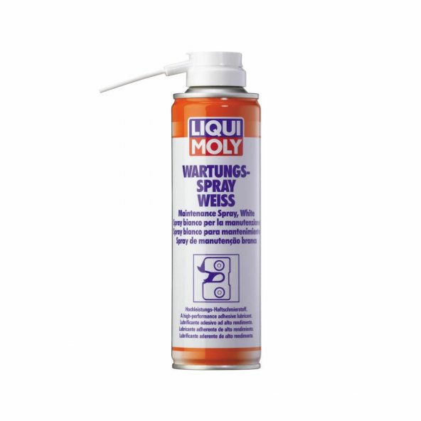 Liqui Moly Kapı Kilit Yağlayıcı Bakım Spreyi 250 ML (3075)