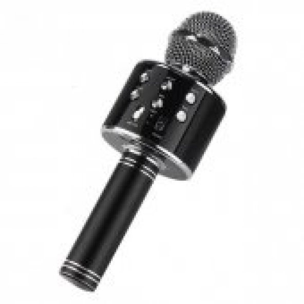 WS 858 Karaoke Mikrofon