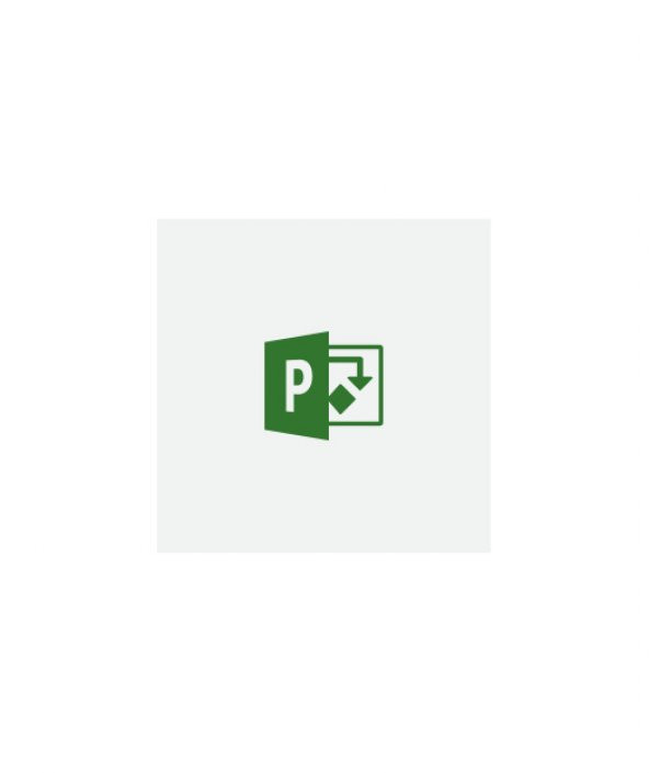 MICROSOFT Project Professional 2019 - Elektronik Lisans