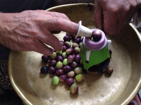 Zeytin Dilme, Çizme, Kesme Makinesi, Pratik Mini Aparat, Akva - 3