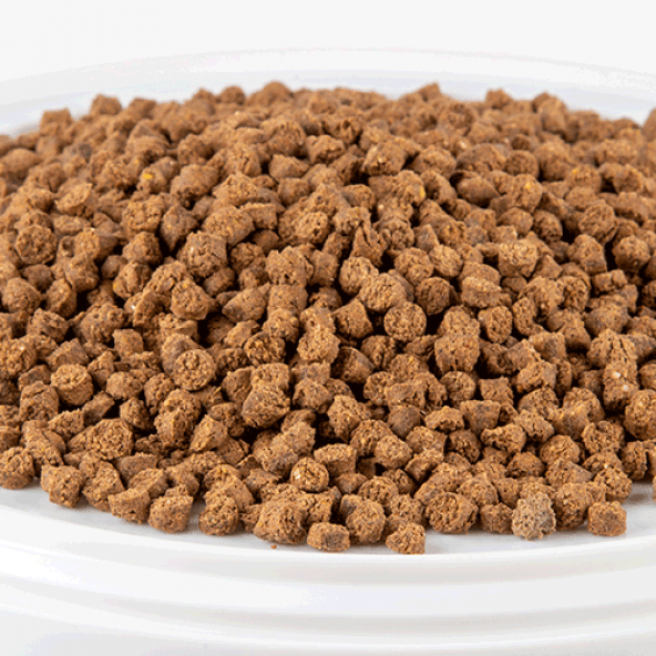 RASYON HIGH PROTEIN&HIGY ENERGY PAPAĞAN YEMİ - 5KG - 2