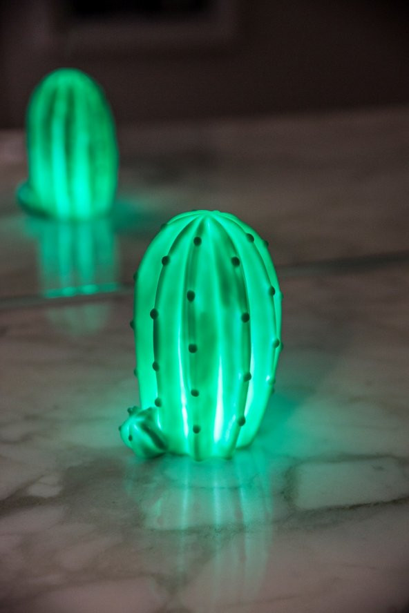 Texas Kaktüs 3D Led Işık (1)