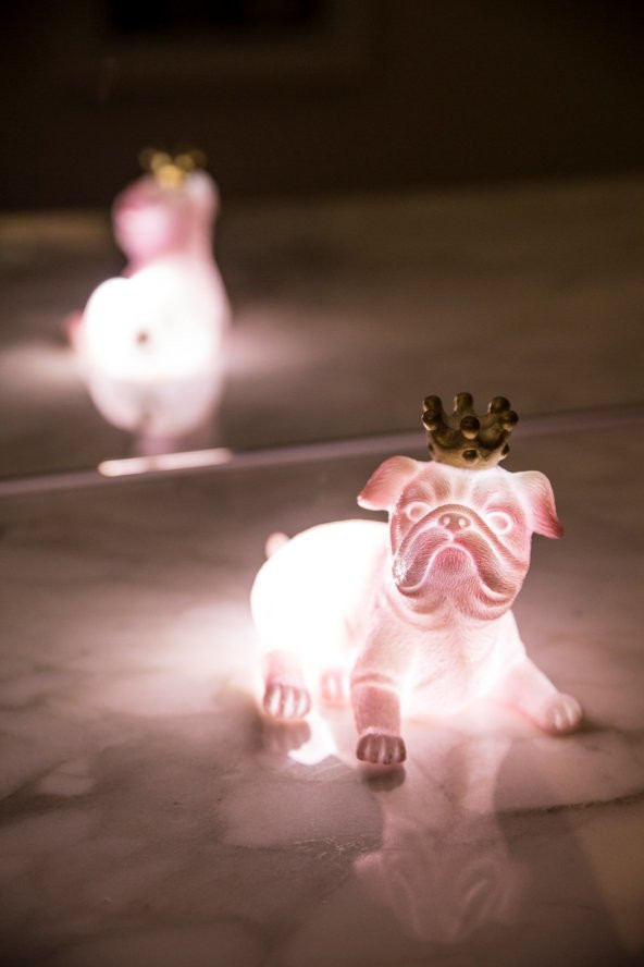 Pembe Kraliçe Köpek 3D Led Işık