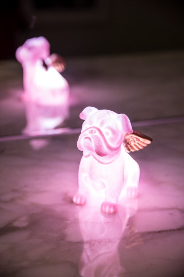 Pembe Melek Köpek 3D Led Işık