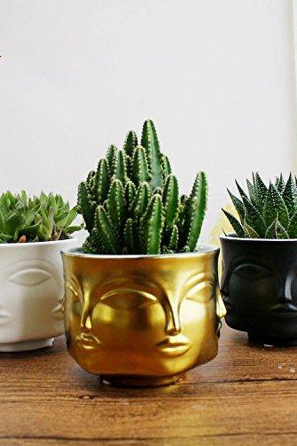 Sartiame  Siyah Mumluk - Resim 3