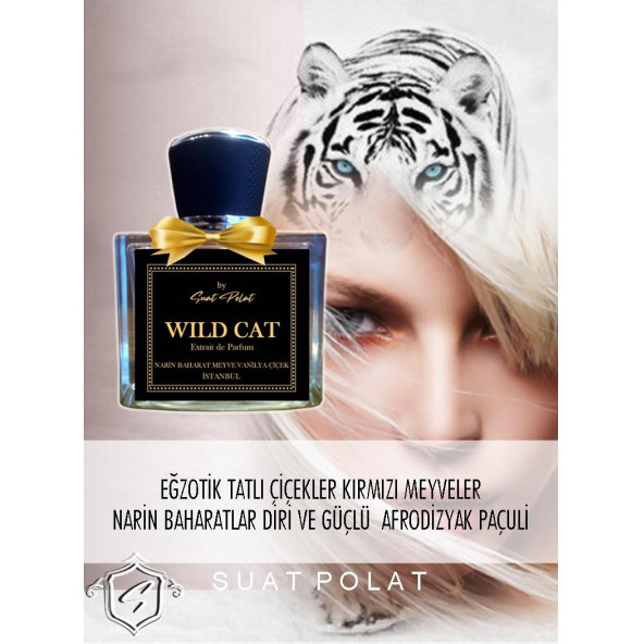 WILD CAT for WOMEN