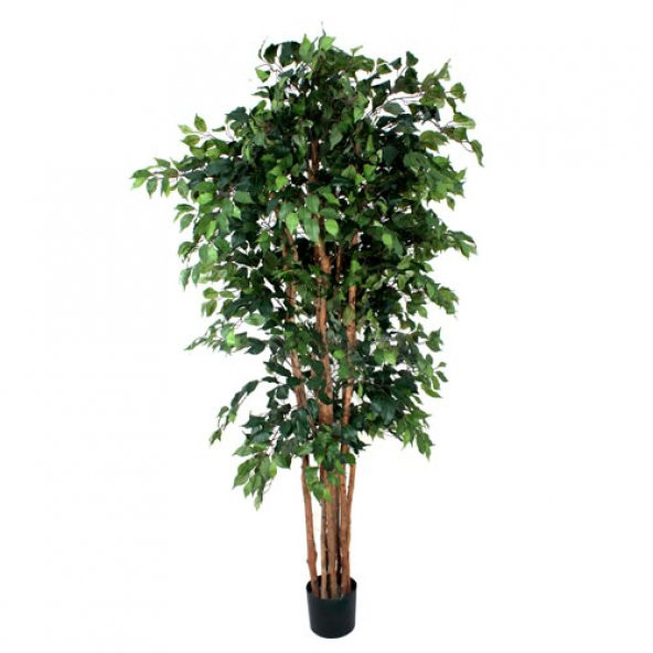 Euro Flora Yapay Fıcus Ağacı Brezilya 210 Cm - 1