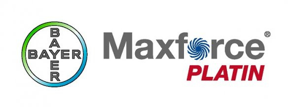 BAYER MAXFORCE PLATİN HAMAM BÖCEĞİ JELİ 20 GR - 2
