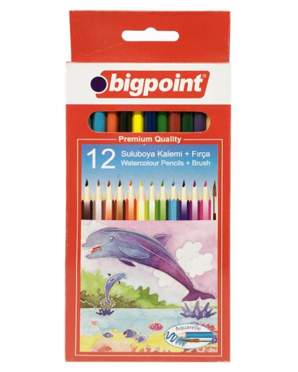 Bigpoint 12li Sulu Boya Seti (Fırça Hediyeli)
