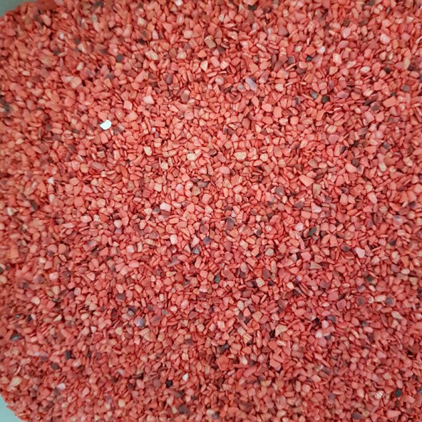 500 GRAM Doğal deniz kabuğu kumu renkli kum jel mum şişe süslemes - 3