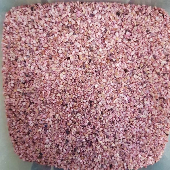 500 GRAM Doğal deniz kabuğu kumu renkli kum jel mum şişe süslemes - 9