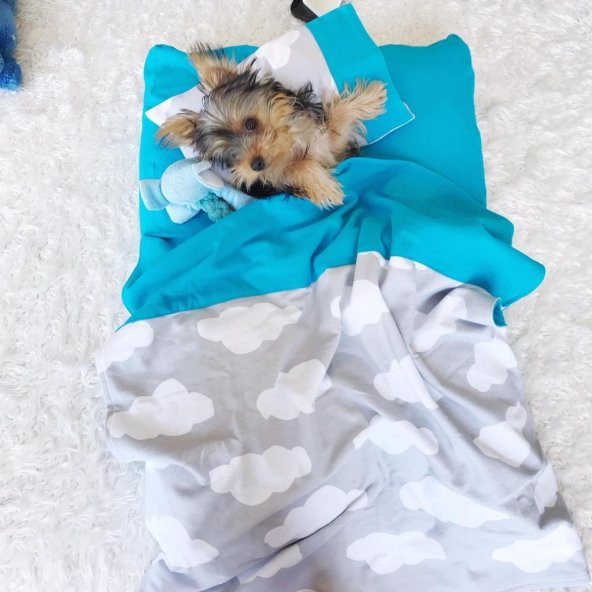 Blue Clouds Köpek Uyku Takımı Minder Yastık Örtü Set