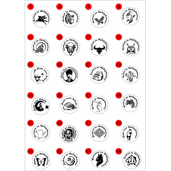 KİŞİSEL KAŞELER - 2